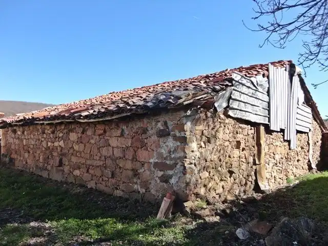 Exterior view of Houses for sale in Pinilla de los Moros  with Private garden