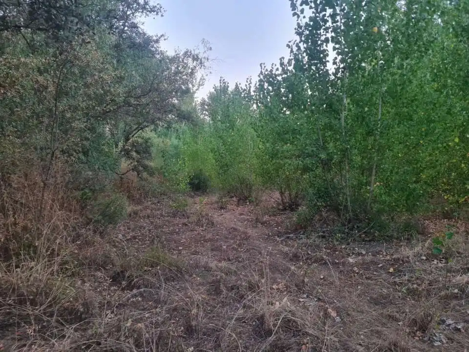 Terreni e lotti in vendita a Escalona, imagen 18