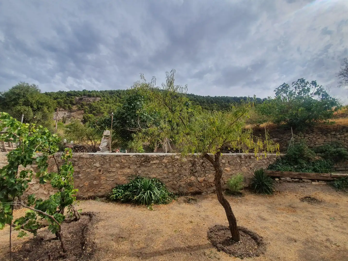Jardín de Casa o chalet en venta en Gor con Jardín privado y Amueblado