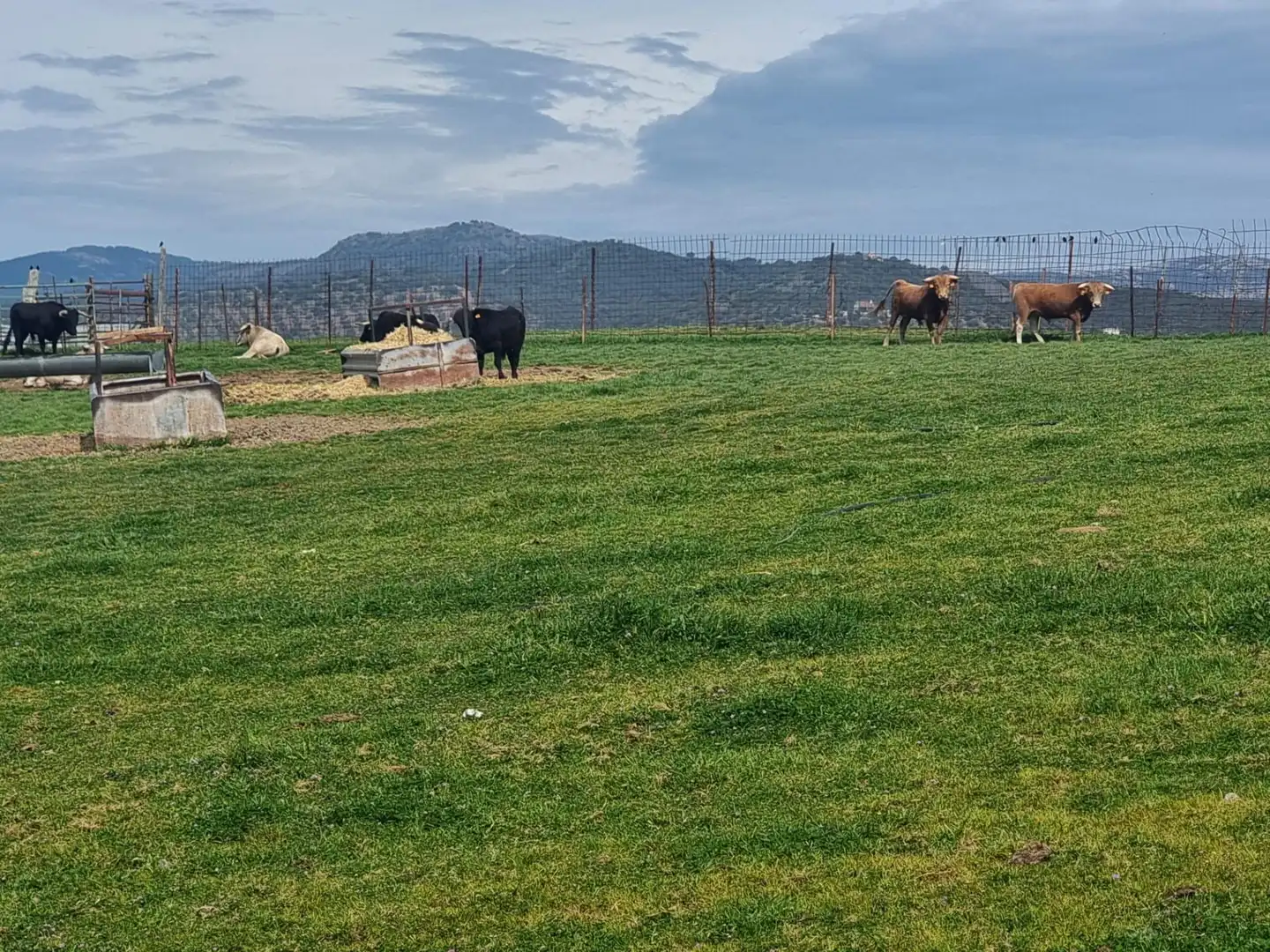 Finca rústica en venta en calle De los Bobinos, La Carolina