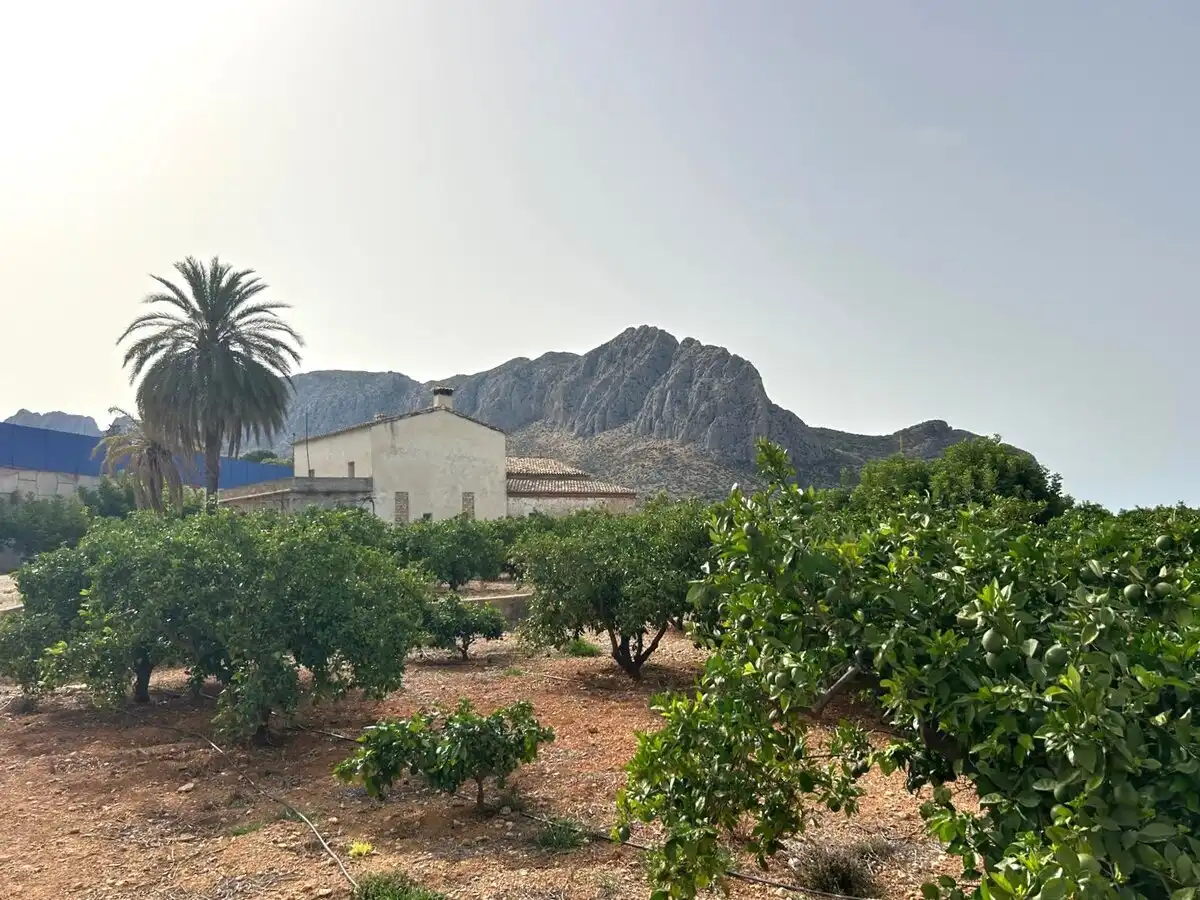 Chalet en venta en Ondara, imagen 42