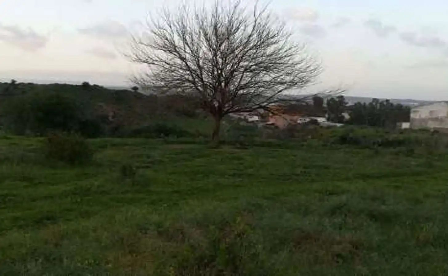 Terreni e lotti in vendita a La Granja - La Colina - Los Pastores, imagen 2