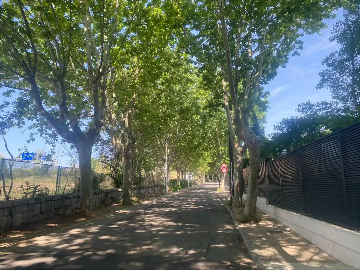 Vista exterior de Casa o xalet de lloguer en  Madrid Capital amb Piscina i Balcó