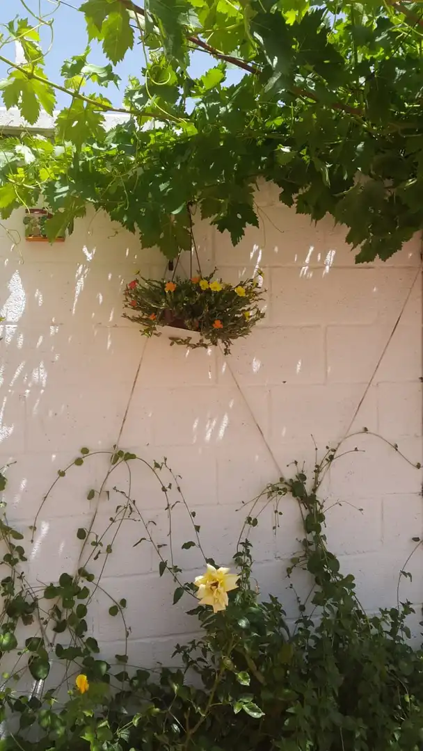 Jardí de Casa o xalet en venda en Argamasilla de Calatrava amb Jardí privat i Moblat