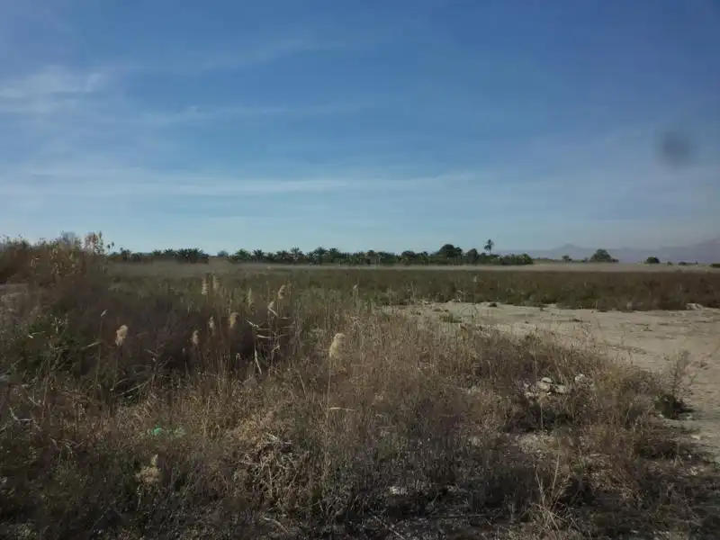 Terreno rustico in vendita a Calle Valle Inclán 7, imagen 11