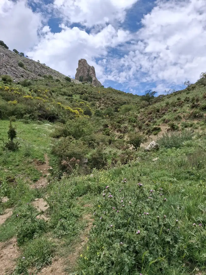 Terreni e lotti in vendita a Alfarnatejo, imagen 16