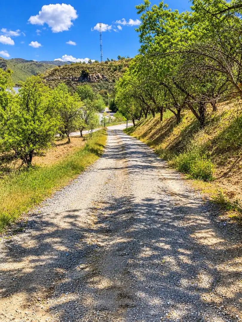 Maison rustique avec jardin à vendre à Carretera Fuente del Lobo Poligono, imagen 10