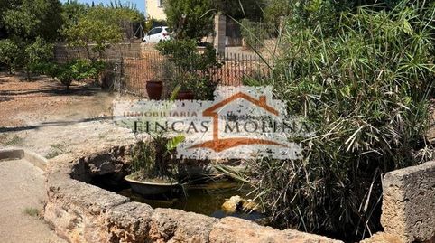 Foto 5 de Casa o xalet de lloguer a Son Ferriol, Palma de Mallorca