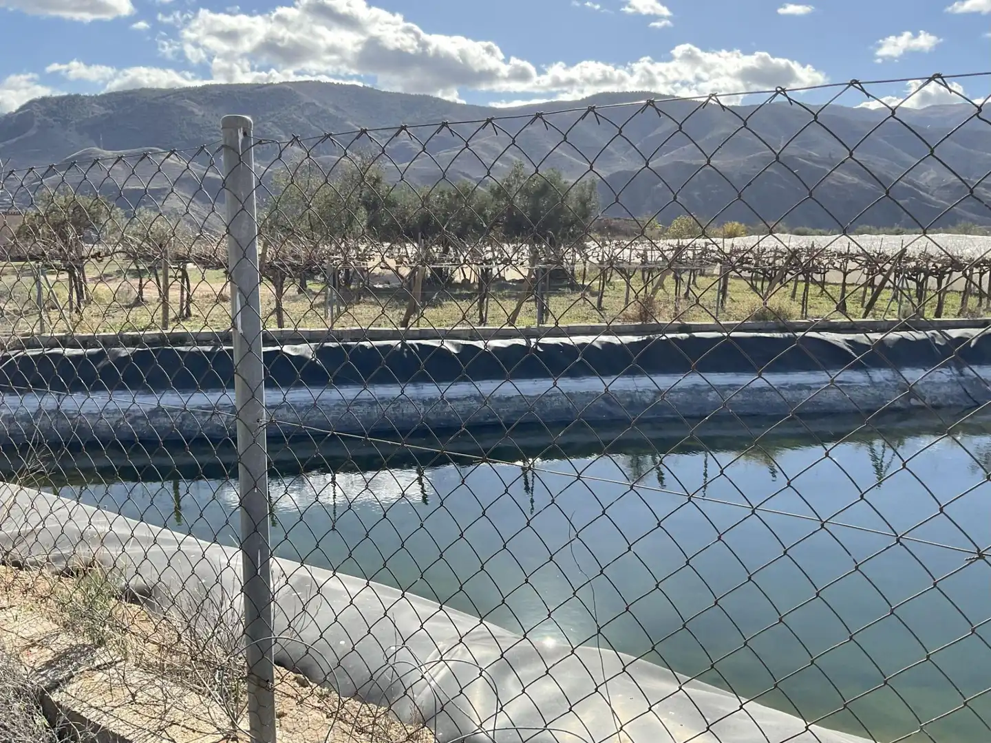 Swimming pool of Land for sale in Padules