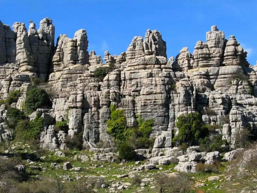 Lands and plots for sale in AR URB ANTEQUERA GOLF 122 122, imagen 30