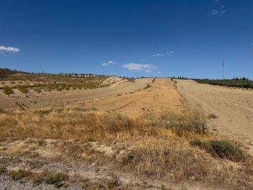 Terrain rustique à vendre à Camino de Jayena 47