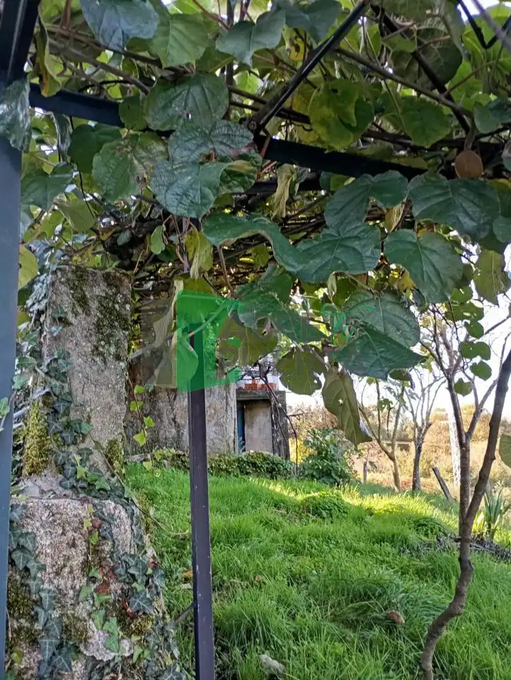 Jardí de Casa o xalet en venda en Lobeira amb Jardí privat