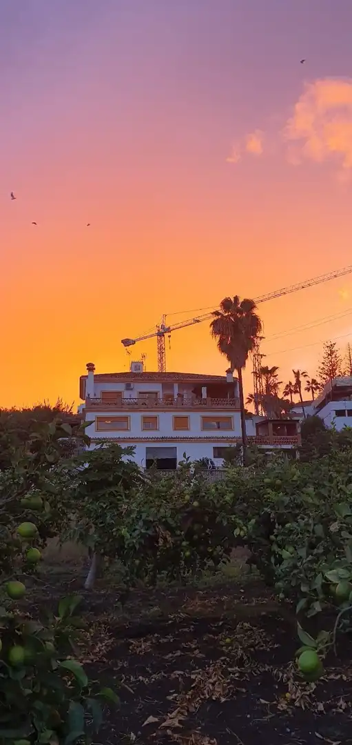 Vista exterior de Finca rústica en venda en Estepona amb Terrassa i Piscina
