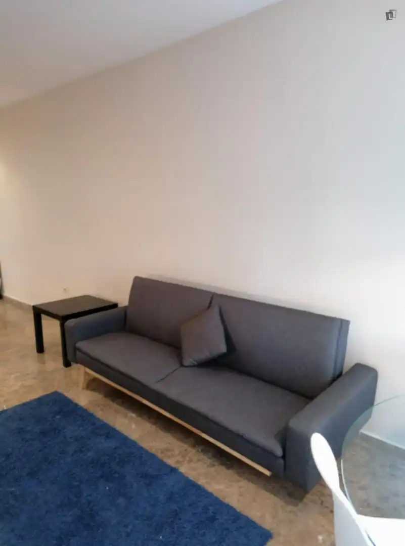 Apartments for rent in Ciutat de les Ciències i de les Arts - Justicia