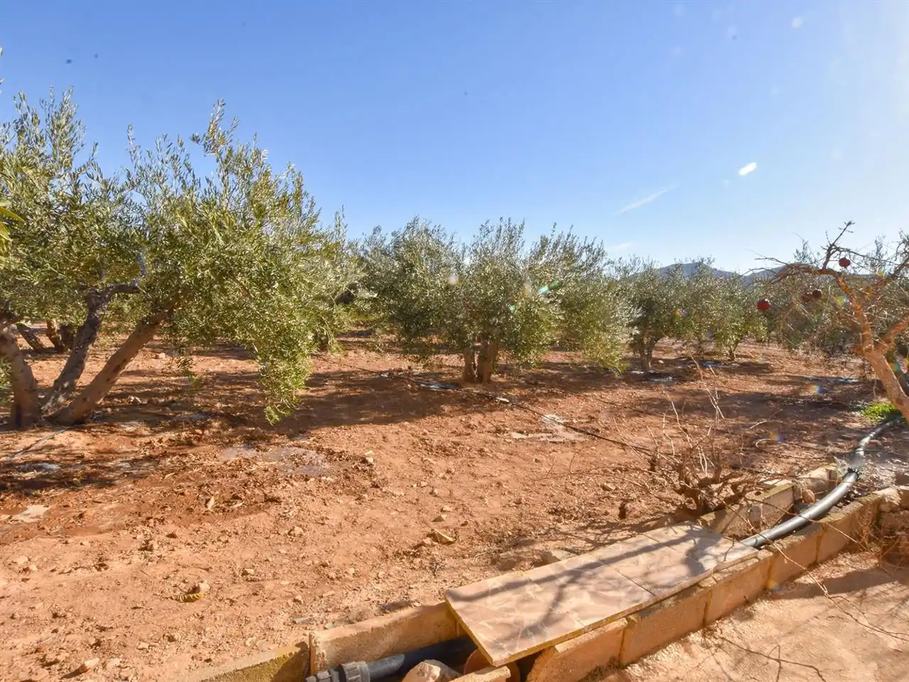Casa o xalet en venda en Huércal-Overa