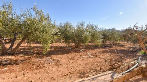 Foto 4 de Casa o xalet en venda a Huércal-Overa, Almería