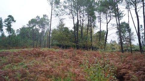 TERRENO   URBANIZABLE DE 2000M, immagine 4