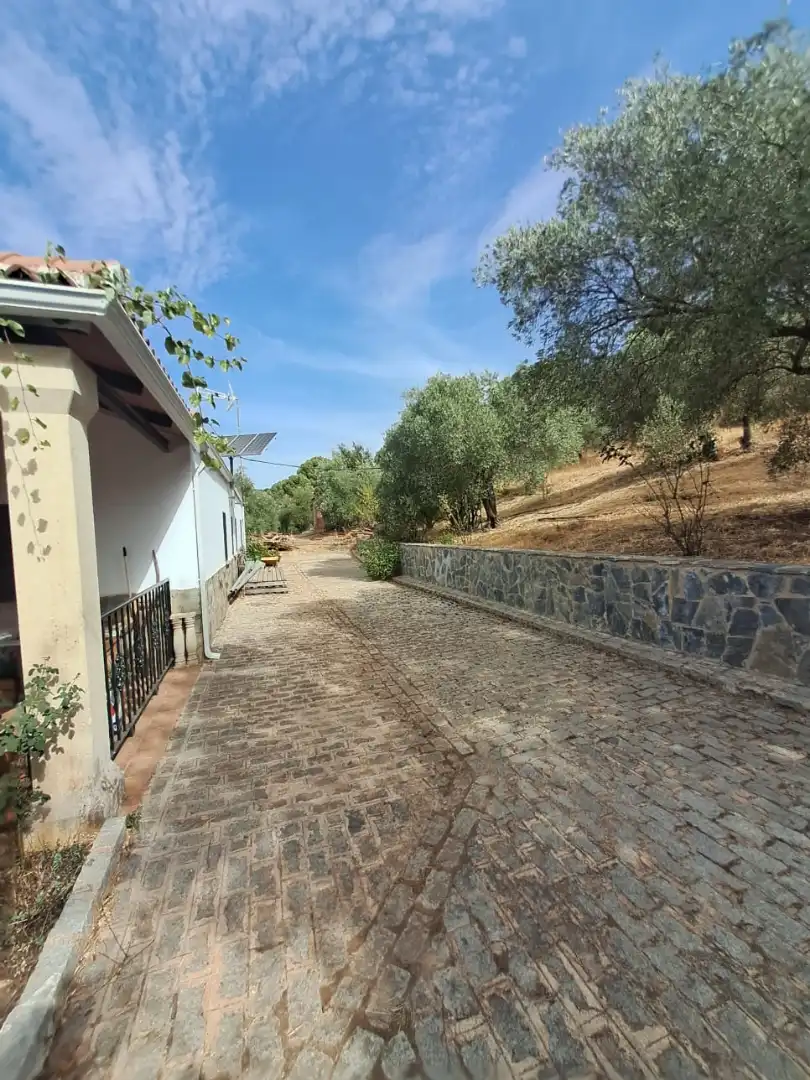 Vista exterior de Casa o xalet en venda en Alcaracejos amb Piscina i Moblat