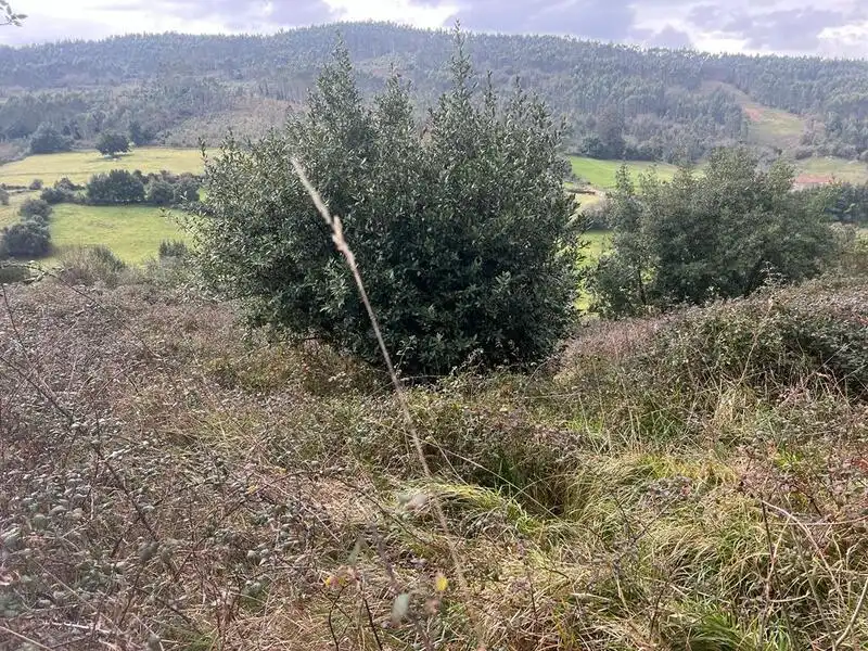 Terreno rustico in vendita a Selorio - Tornón, imagen 4