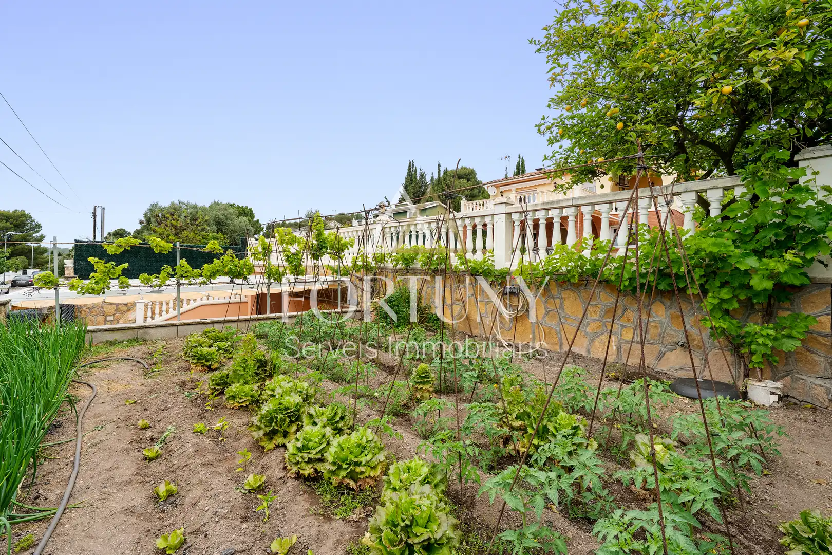 Jardí de Casa o xalet en venda en El Catllar  amb Aire condicionat, Piscina i Balcó