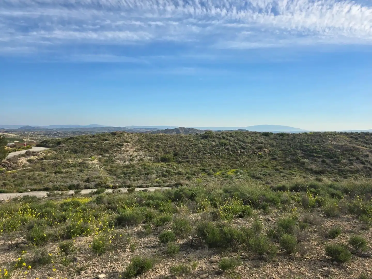 Terreno en venta en Molina de Segura