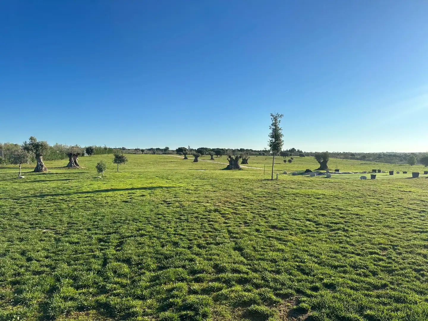 Terreno en venta en Madrid