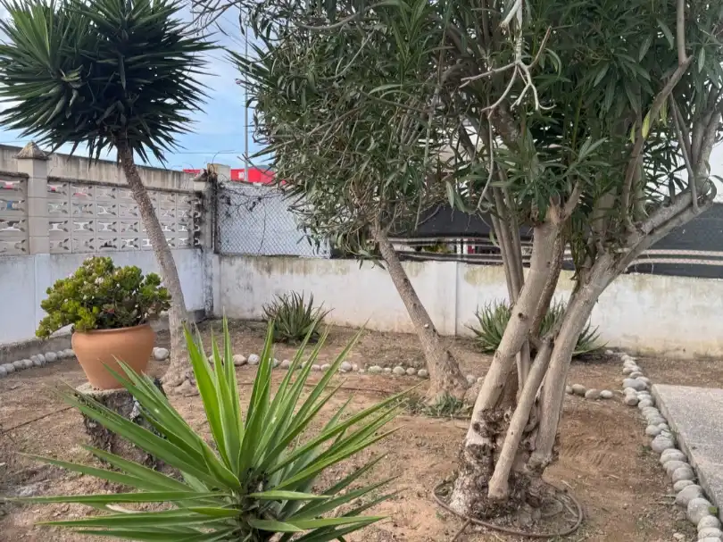 Haus mit Garten zur Miete in Riu Támesis 9, imagen 2