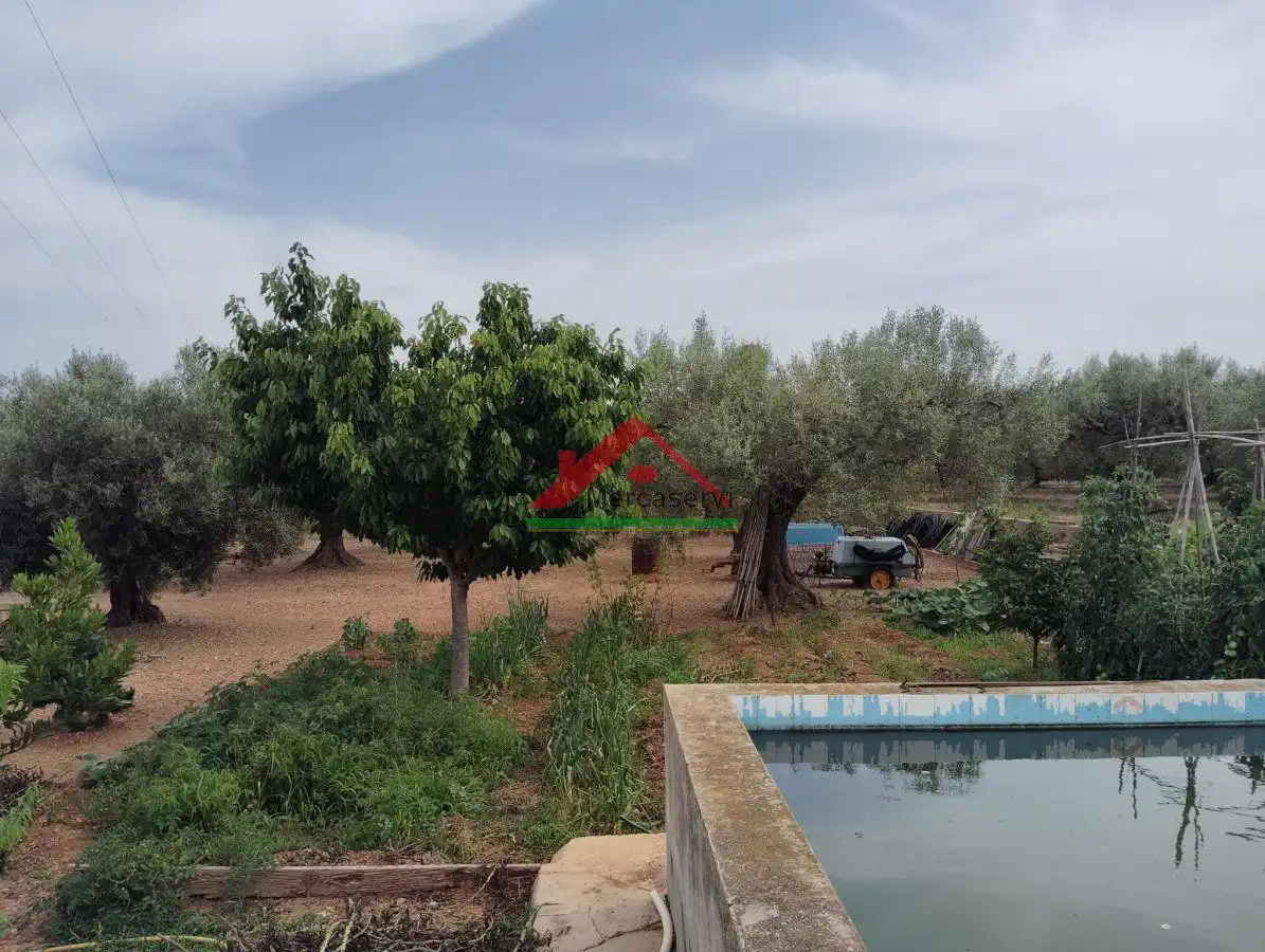 Country homes for sale in Vinaròs  with Terrace