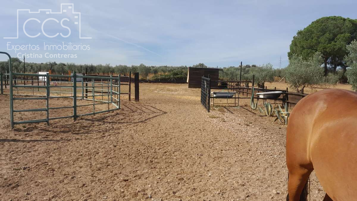 Country house for sale in Almonte ciudad