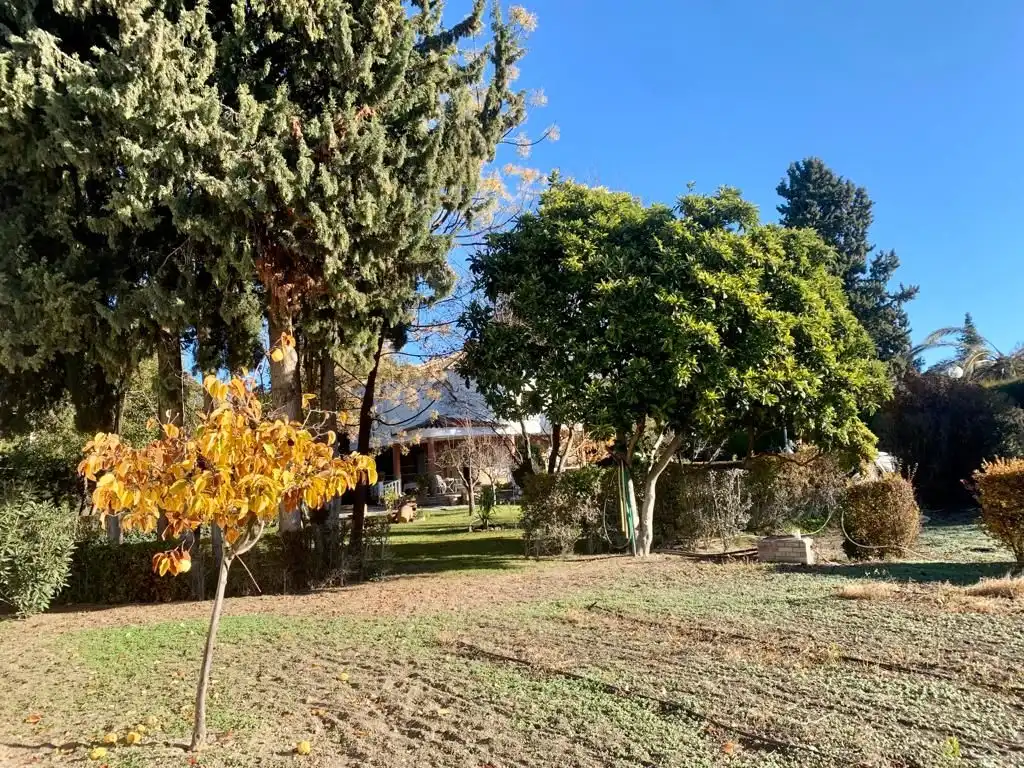 Jardín de Casa o chalet en venta en Úbeda con Jardín privado, Piscina y Balcón