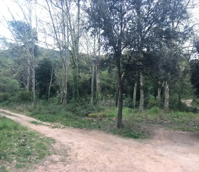 Rustikales Grundstück zum Verkauf in Nou Carrer POLI, imagen 11