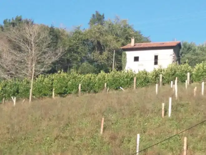 Casa o xalet en venda en Cudillero amb Moblat