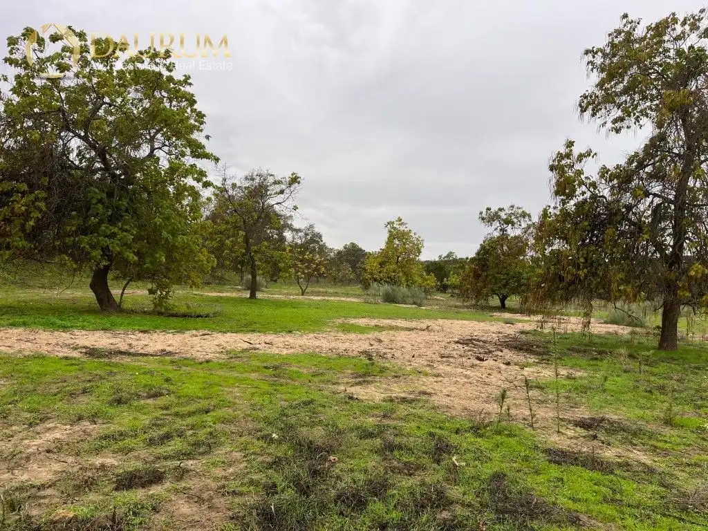 Casa o chalet en venta en Aldea del Fresno