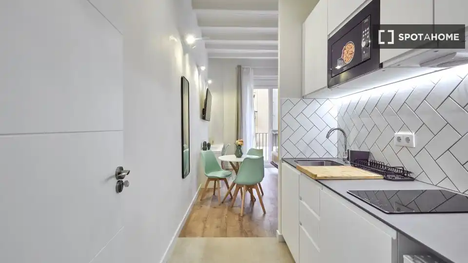 Flat for rent in El Raval