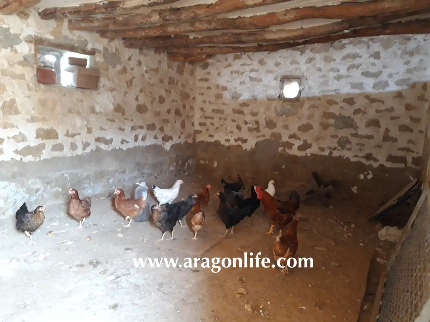 Jardí de Finca rústica en venda en Caspe