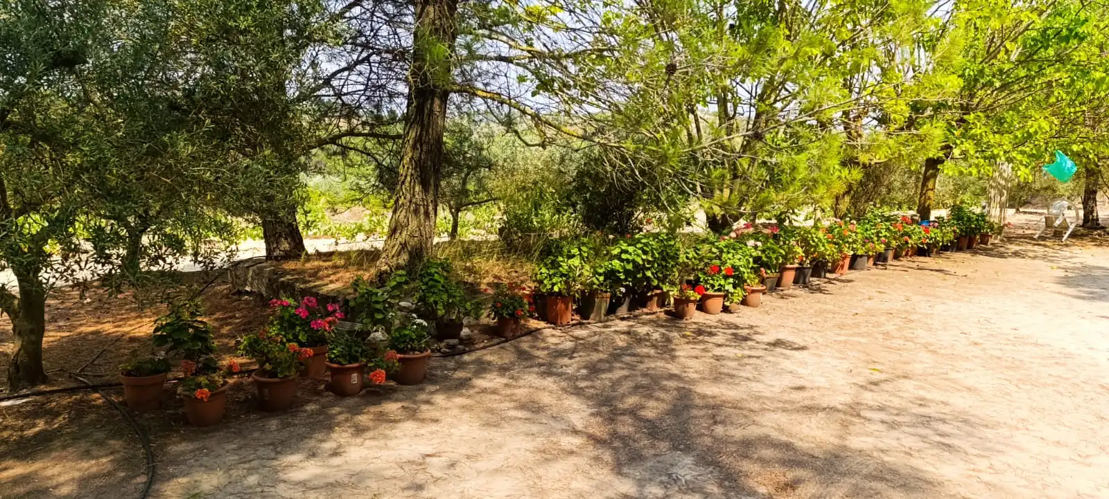 Jardí de Residencial en venda en Vilalba dels Arcs