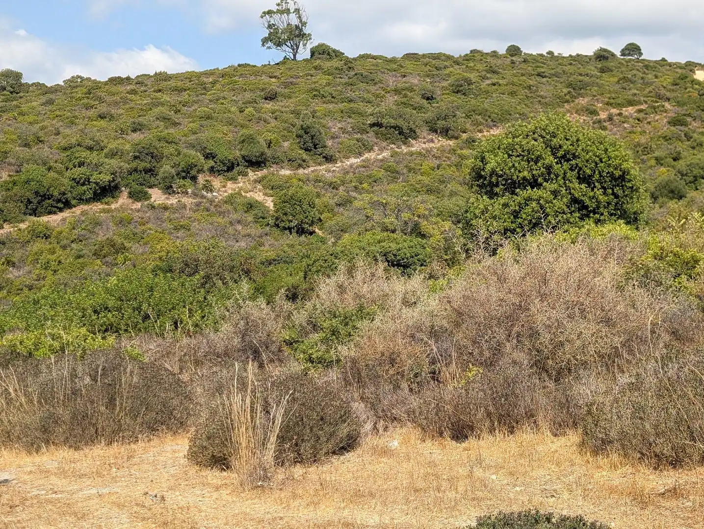 Terreno rustico in vendita a Casares 10, imagen 6