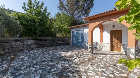 FINCA DE OLIVOS EN MONTEFRÍO, imatge 2