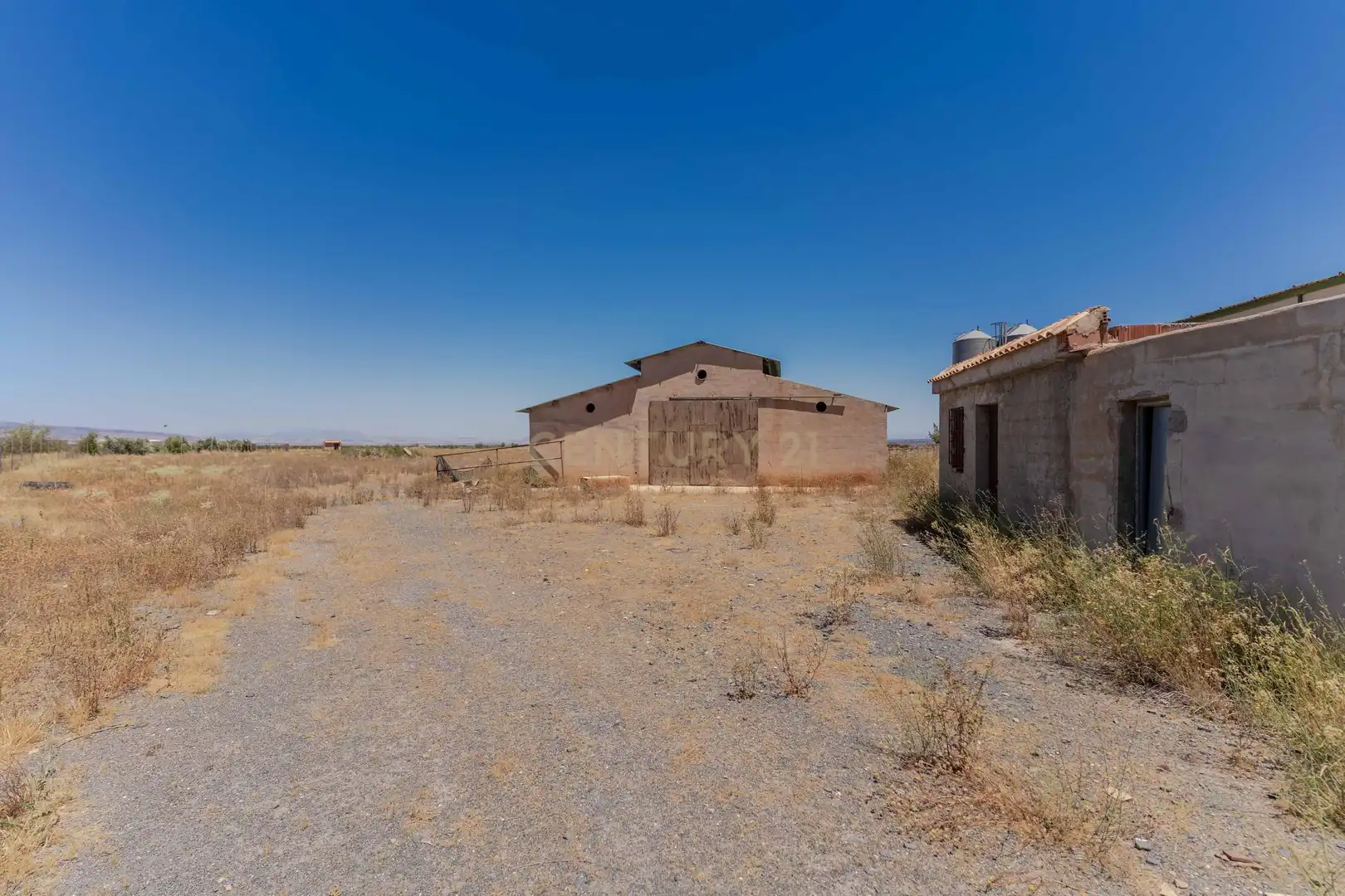 Terreno en venta en Cogollos de Guadix