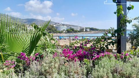 Photo 5 of House or chalet for sale in  Polígono 47 Parcela 117, Terrers Blancs, Alcalà de Xivert pueblo, Castellón