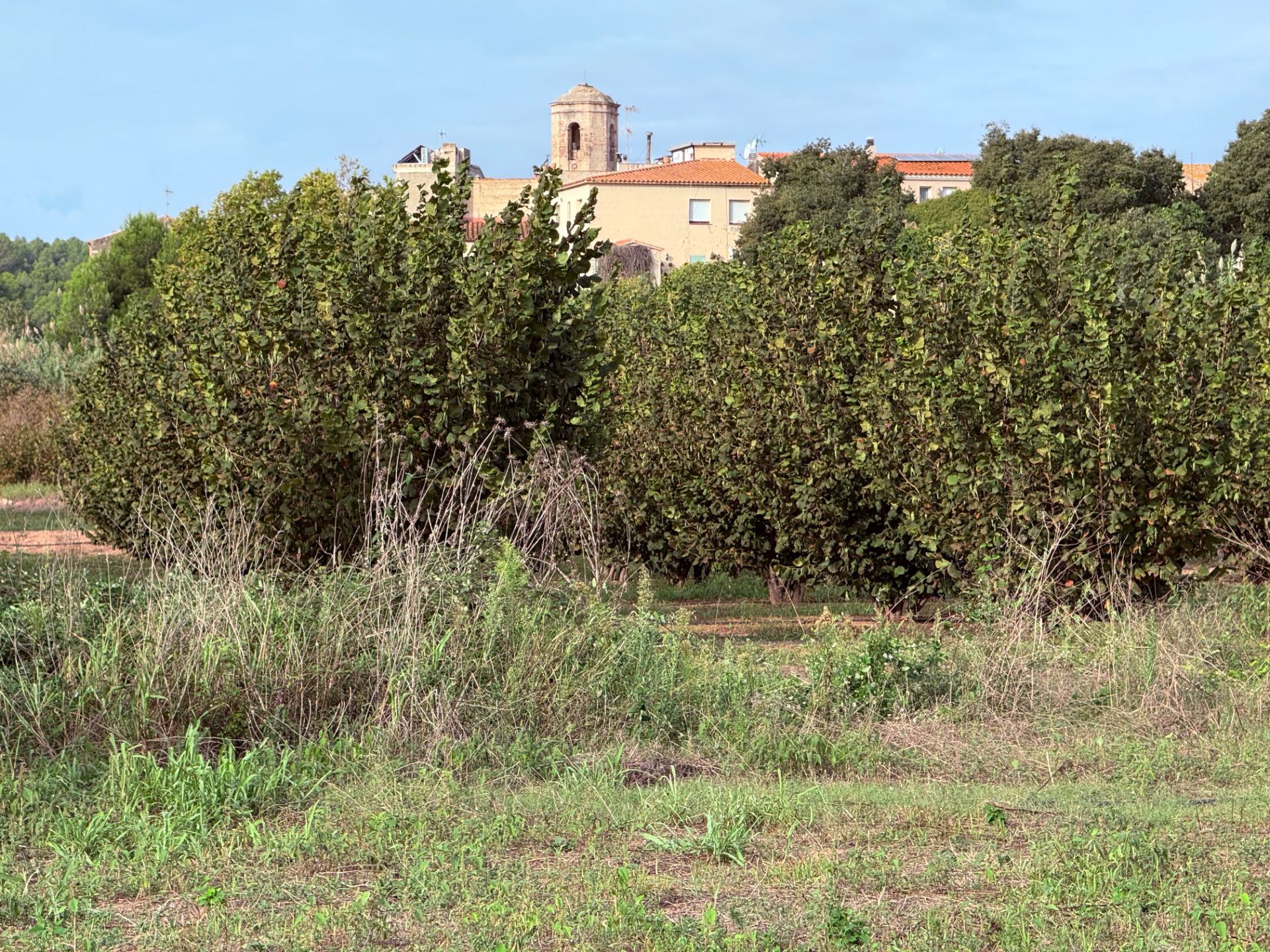 Grundstücke zum verkauf in La Riera de Gaià