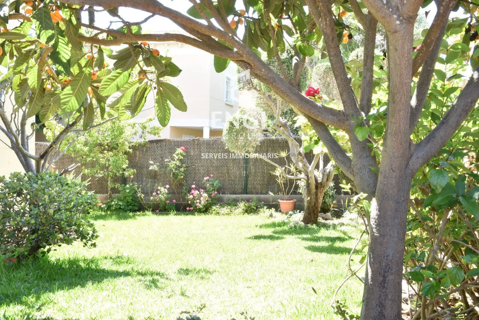 Villa avec piscine à vendre à DOCTOR ROUX, imagen 68