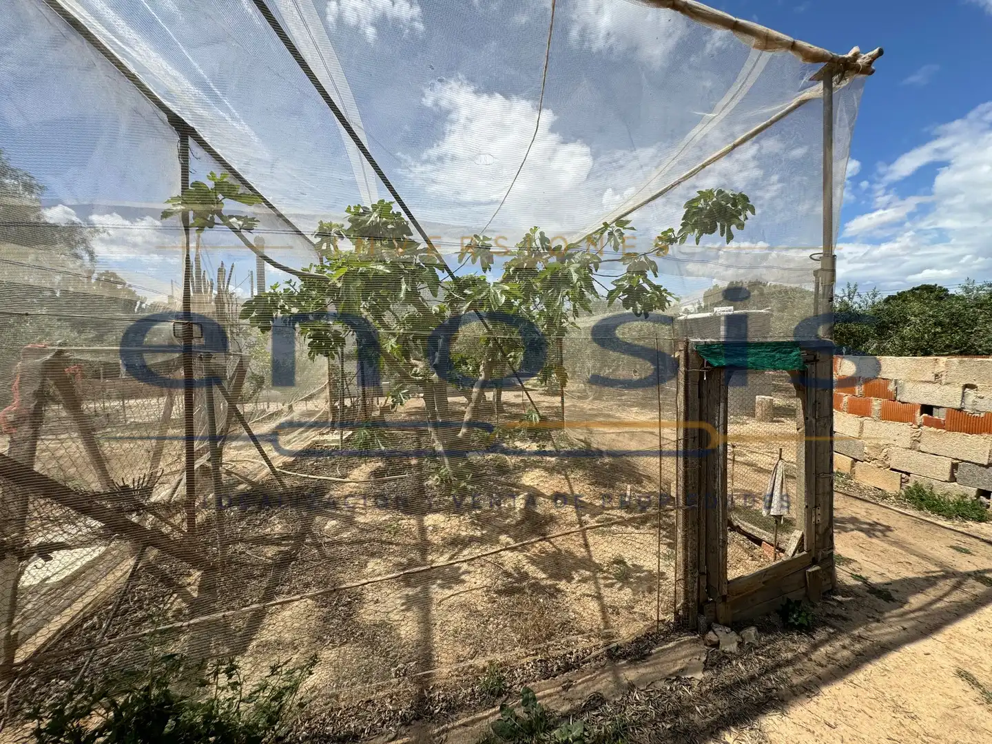 Jardí de Finca rústica en venda en Torre-Pacheco amb Aire condicionat