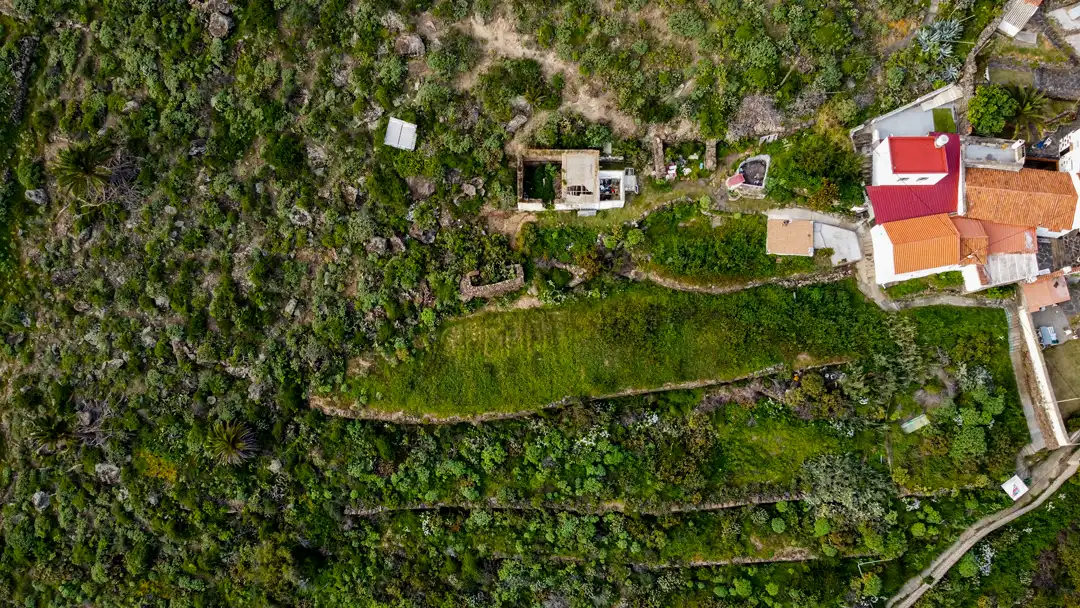 Finca rústica en venta en Moya (Las Palmas)