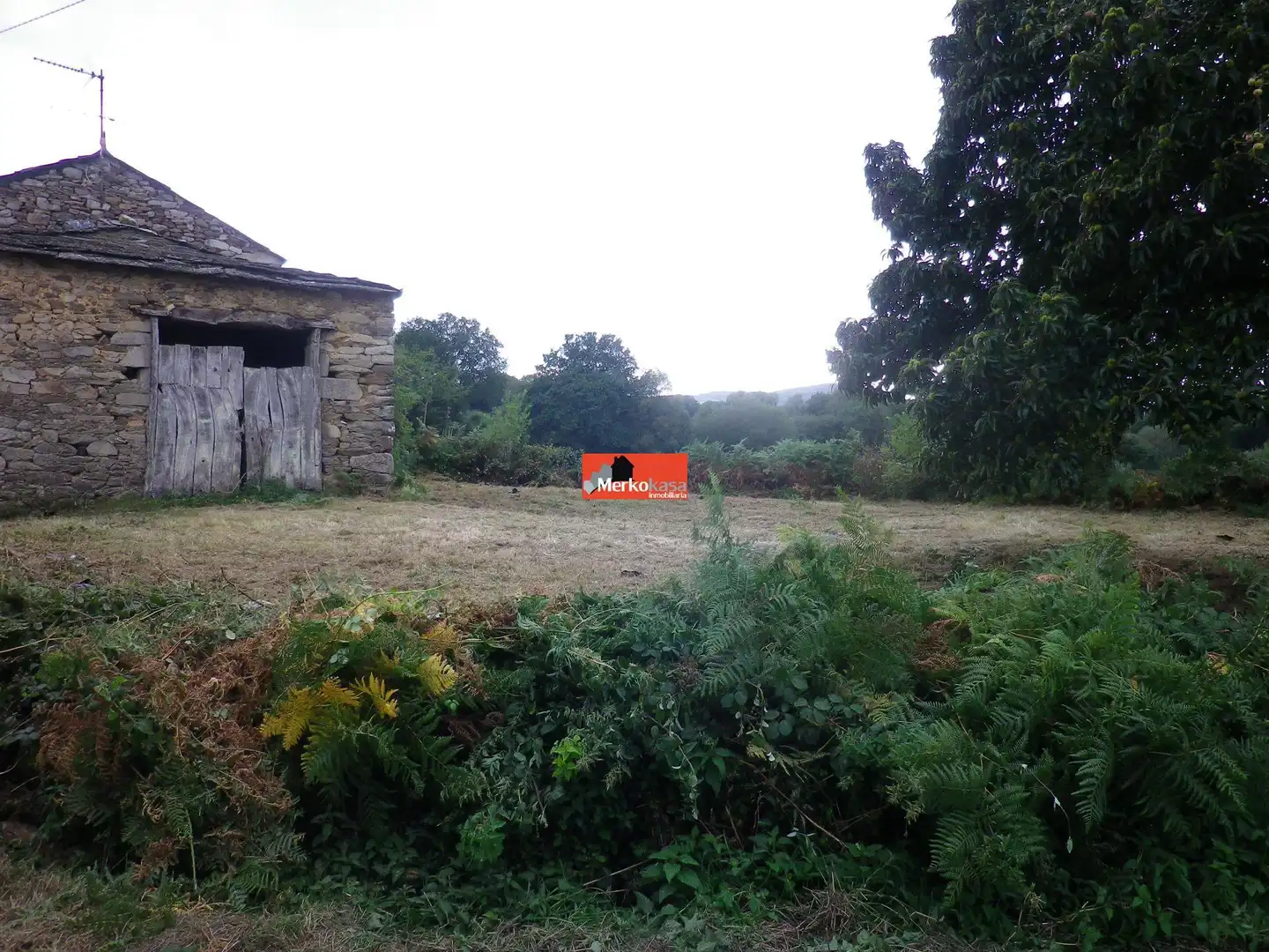 Finca rústica en venta en Friol