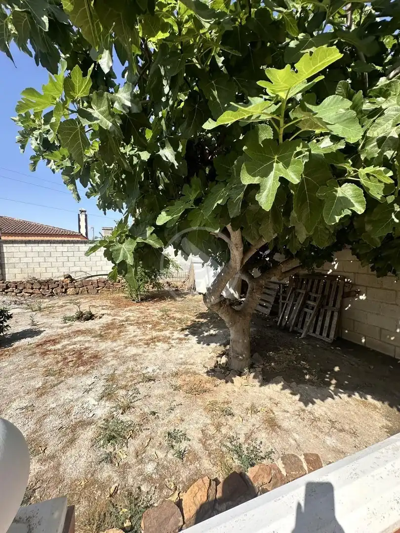 Casa rústica amb piscina en venda a DS Diseminado Rozuela, imagen 16