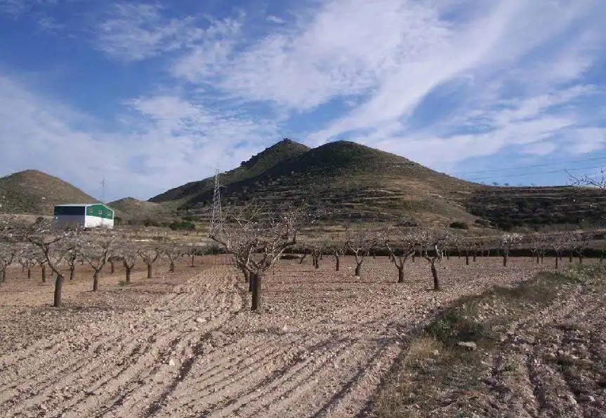 Rustikales Grundstück zum Verkauf in PARAJE LOS PUERTOS Nº 119, imagen 2