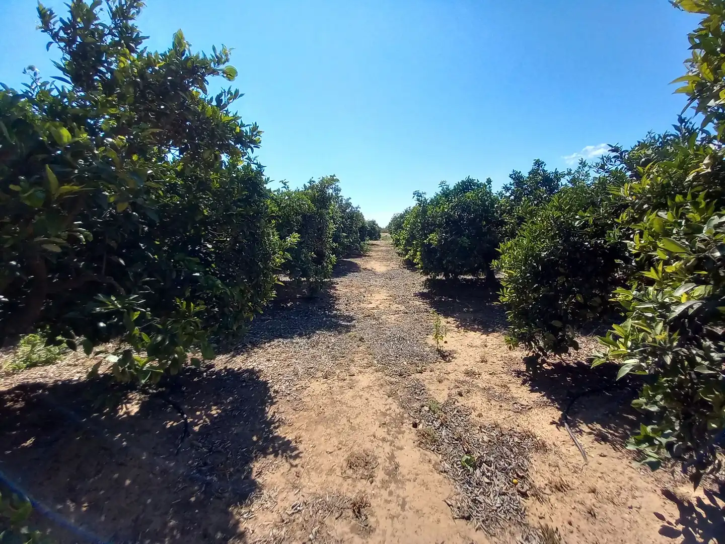 Land for sale in Vinaròs