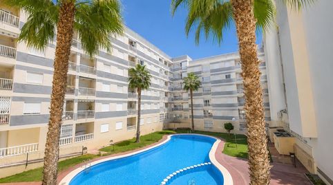 Foto 2 de Piso en venta en Avenida Habaneras - Curva de Palangre, Torrevieja