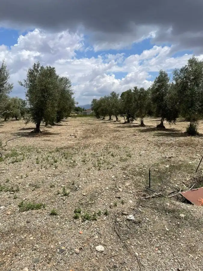 Terrenys i solars en venda a Huércal-Overa, imagen 3